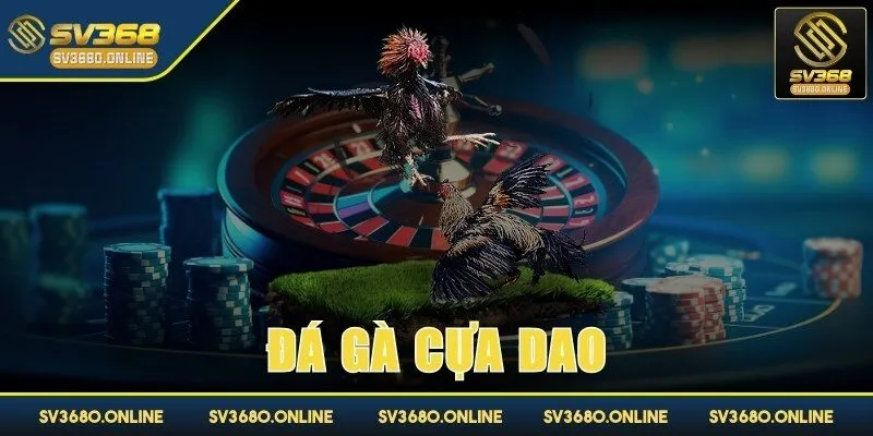 Đá gà cựa dao - Những màn so tài đỉnh cao tại SV368 1 da ga cua dao anh dai dien