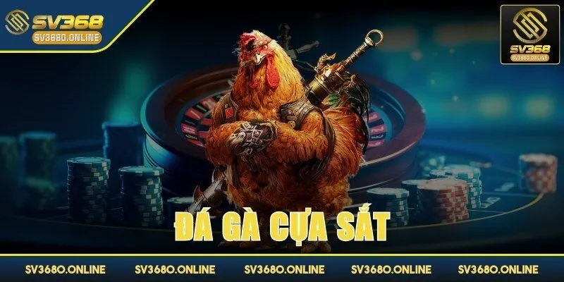 Đá gà cựa sắt - Mãn nhãn với các trận đấu gay cấn tại SV368 1 da ga cua sat anh dai dien