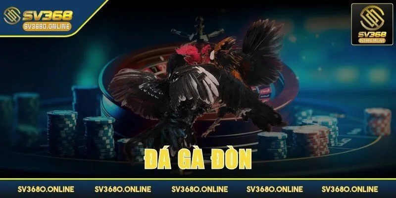 Đá gà đòn - Bí quyết chơi thắng chắc của kê sư tại SV368 1 da ga don anh dai dien